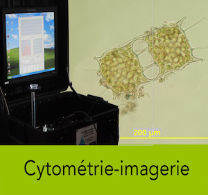 cytométrie-imagerie