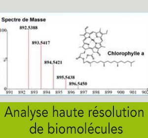 Analyse haute résolution de biomolécules {JPEG}